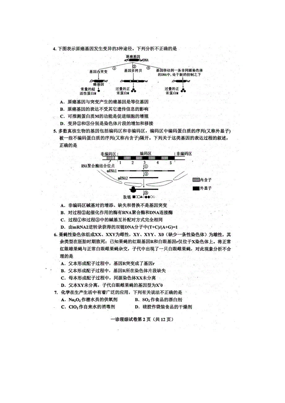 四川省达州市2019高三一诊考试理综试卷 扫描版含答案.doc_第2页