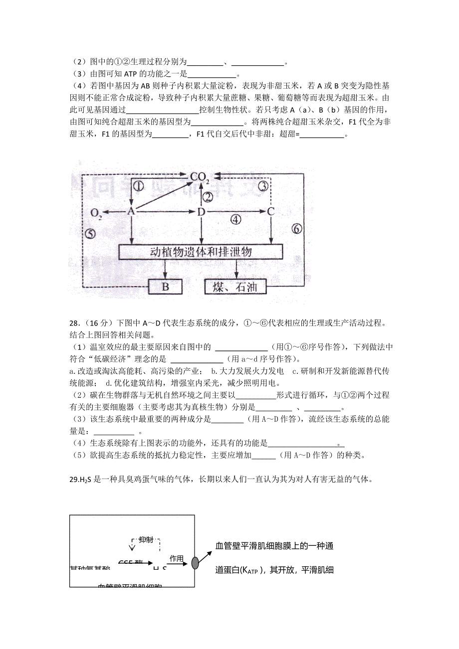 广东省惠州市2015届高三第一次调研考试 生物 WORD版含答案.doc_第3页