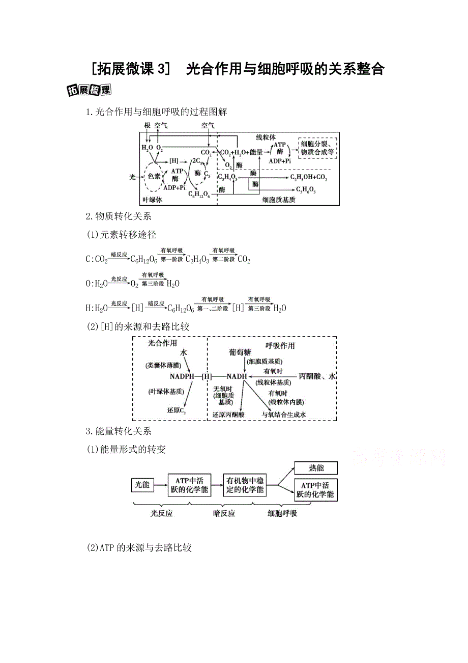 2021版新高考1版生物一轮教师用书：第3单元 《拓展微课3》　光合作用与细胞呼吸的关系整合 WORD版含答案.docx_第1页