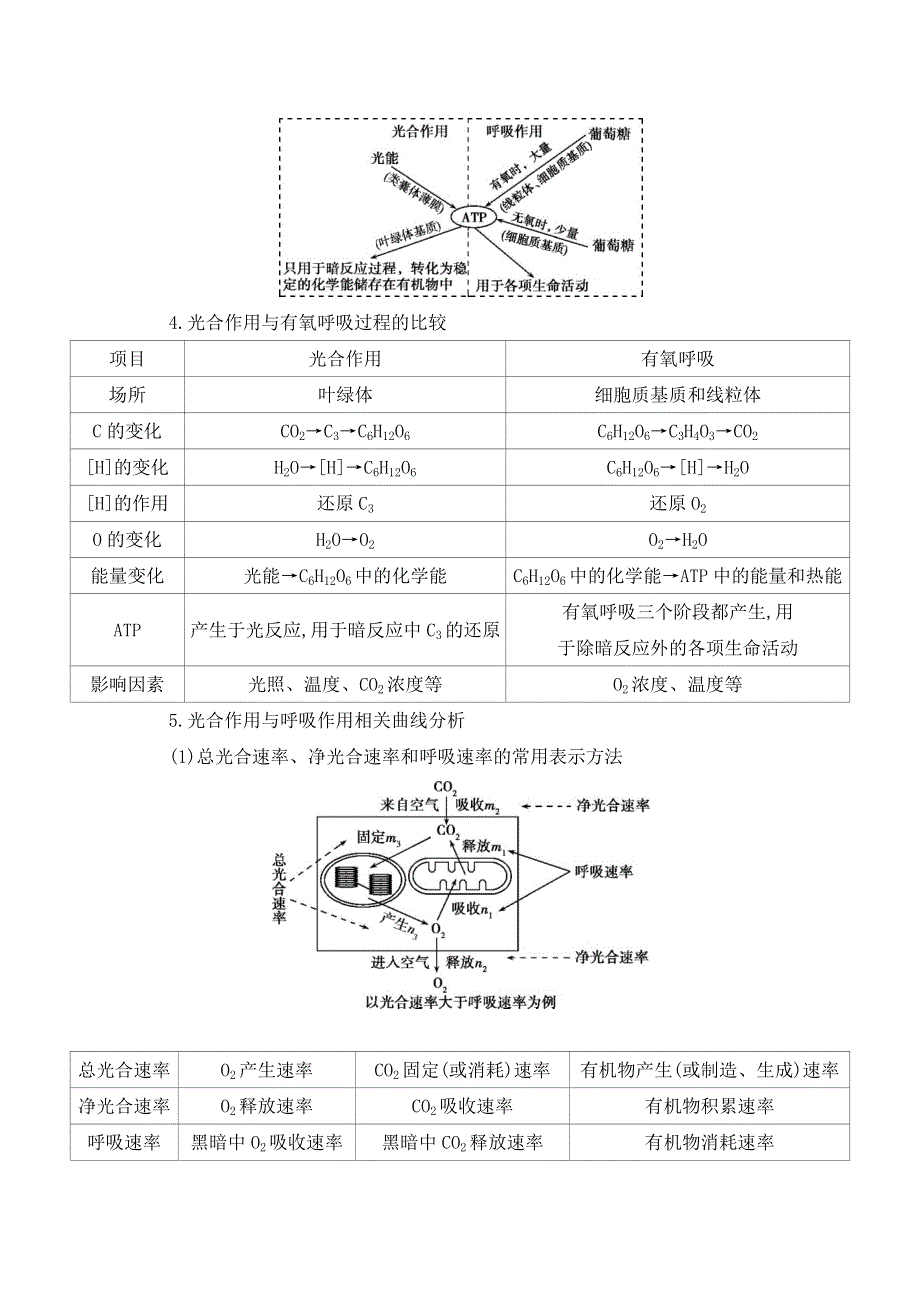 2021版新高考1版生物一轮教师用书：第3单元 《拓展微课3》　光合作用与细胞呼吸的关系整合 WORD版含答案.docx_第2页