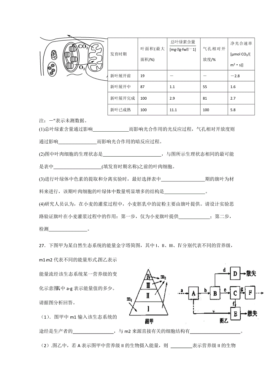 广东省惠州市2015届高三一轮综合测试三调模拟生物试题 WORD版含答案.doc_第3页