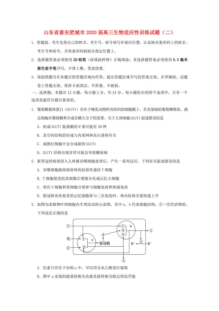 山东省泰安肥城市2020届高三生物适应性训练试题（二）.doc_第1页