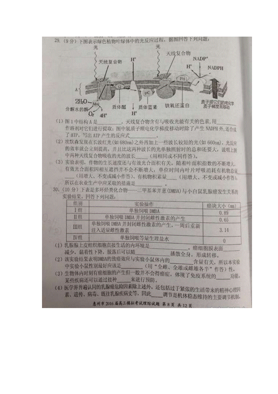 广东省惠州市2016届高三4月模拟考试理综生物试题 扫描版含答案.doc_第2页