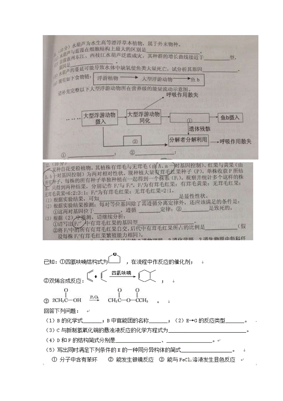 广东省惠州市2016届高三4月模拟考试理综生物试题 扫描版含答案.doc_第3页