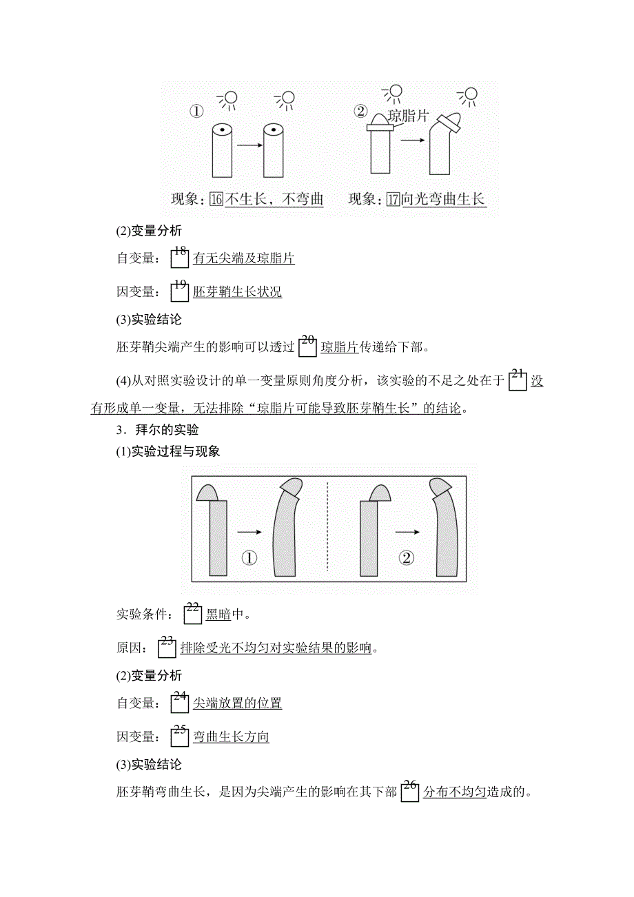 2020秋高二生物人教版必修3学案：第3章 第1节 植物生长素的发现 WORD版含解析.doc_第3页