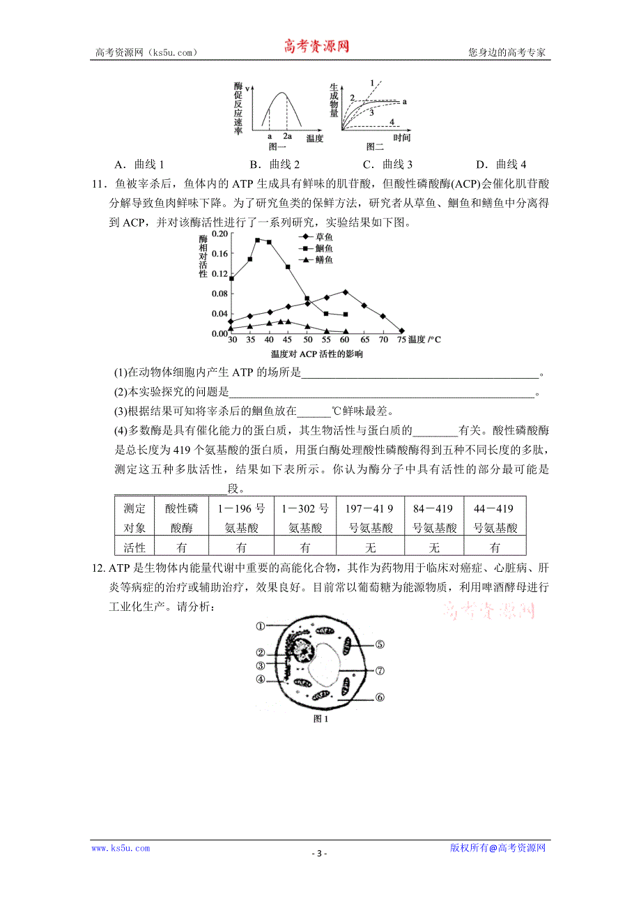 《原创》2013届高三二轮专题三---细胞的代谢--酶与ATP.doc_第3页