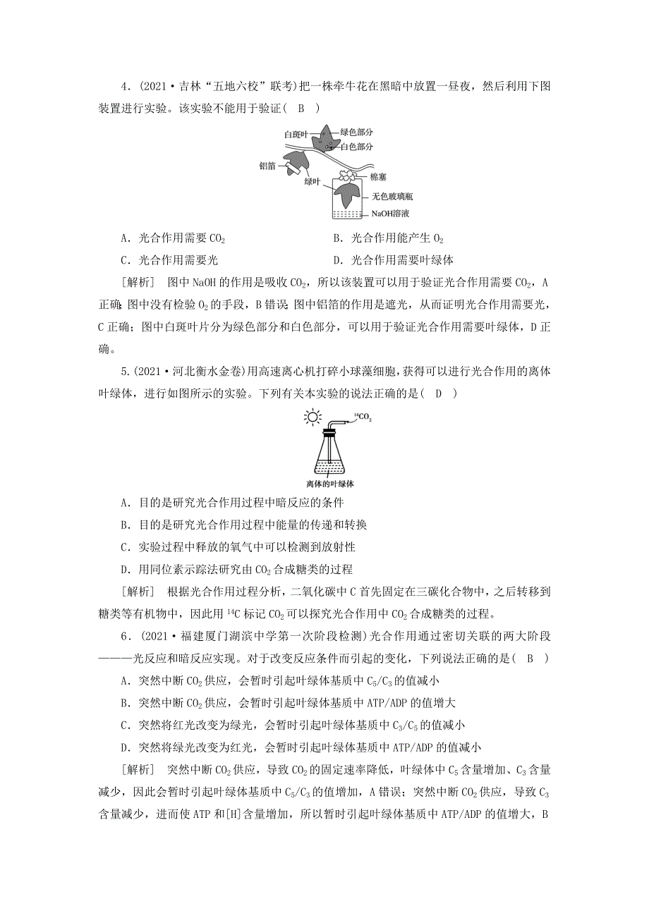 2022届高考生物一轮复习 第3单元 细胞的能量供应和利用 第3讲 能量之源——光与光合作用练习（含解析）新人教版必修1.doc_第2页