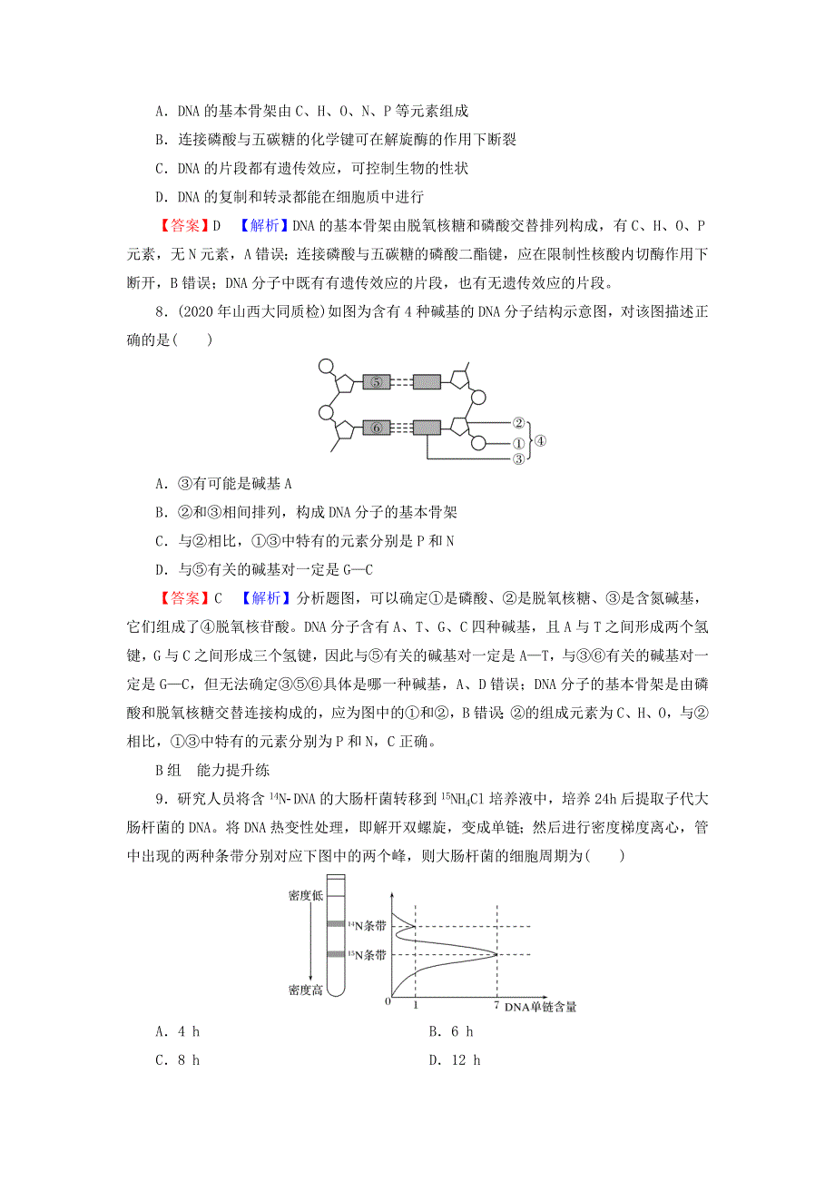 2022届高考生物一轮复习 第6单元 基因的本质与表达 第2讲 DNA分子的结构、复制与基因的本质课后练习（含解析）新人教版.doc_第3页