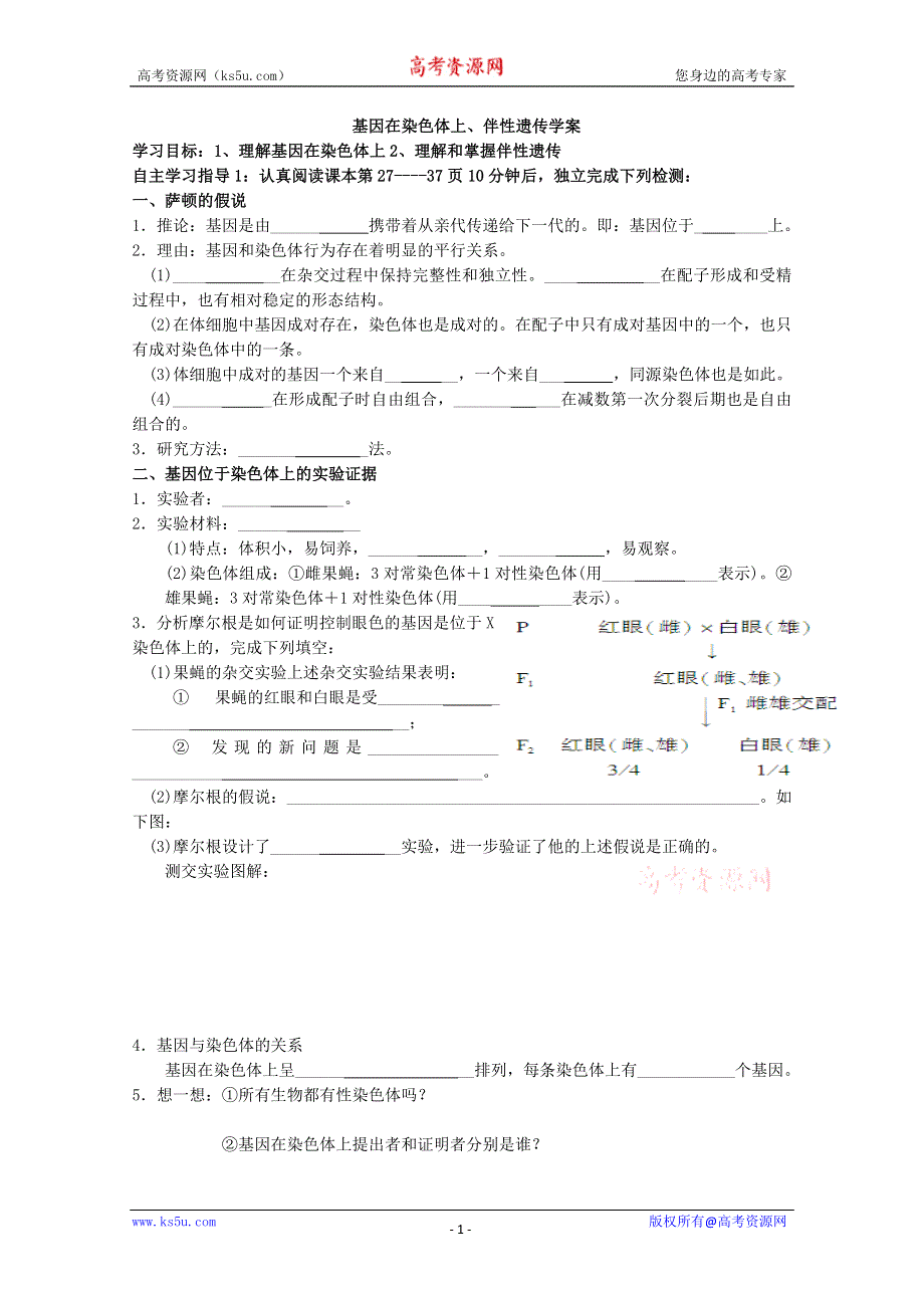 《原创》2013届高三生物一轮复习学案基因在染色体上、伴性遗传.doc_第1页