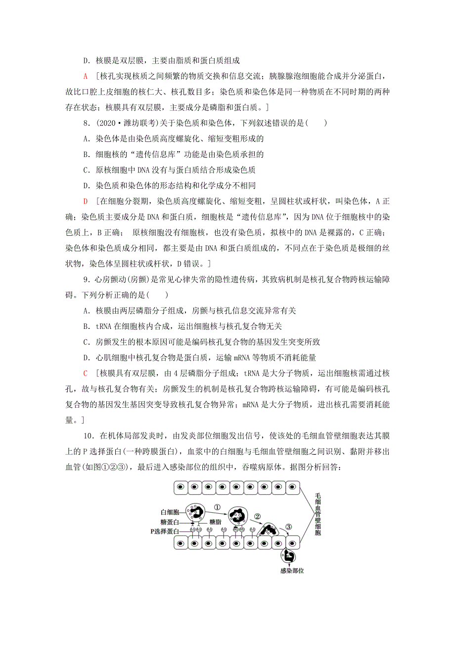 2022届高考生物一轮复习 课后限时集训5 细胞膜和细胞核（含解析）新人教版.doc_第3页