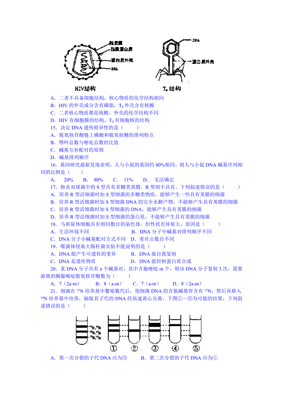 2014-2015学年陕西省南郑中学高中生物（人教版）必修二单元测试：第3章基因的本质.doc_第3页