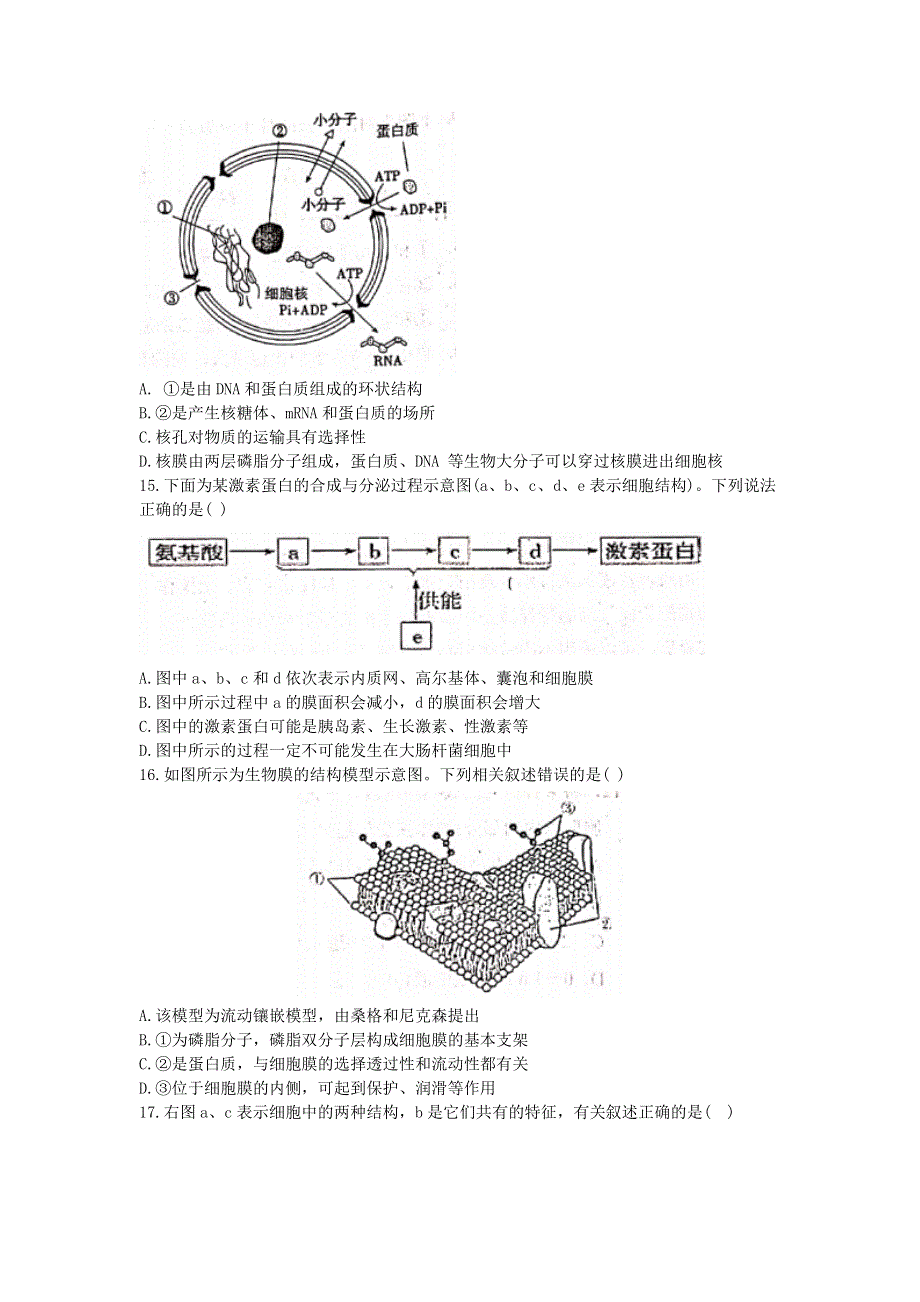 广西玉林市第十一中学2020-2021学年高一生物上学期12月月考试题.doc_第3页