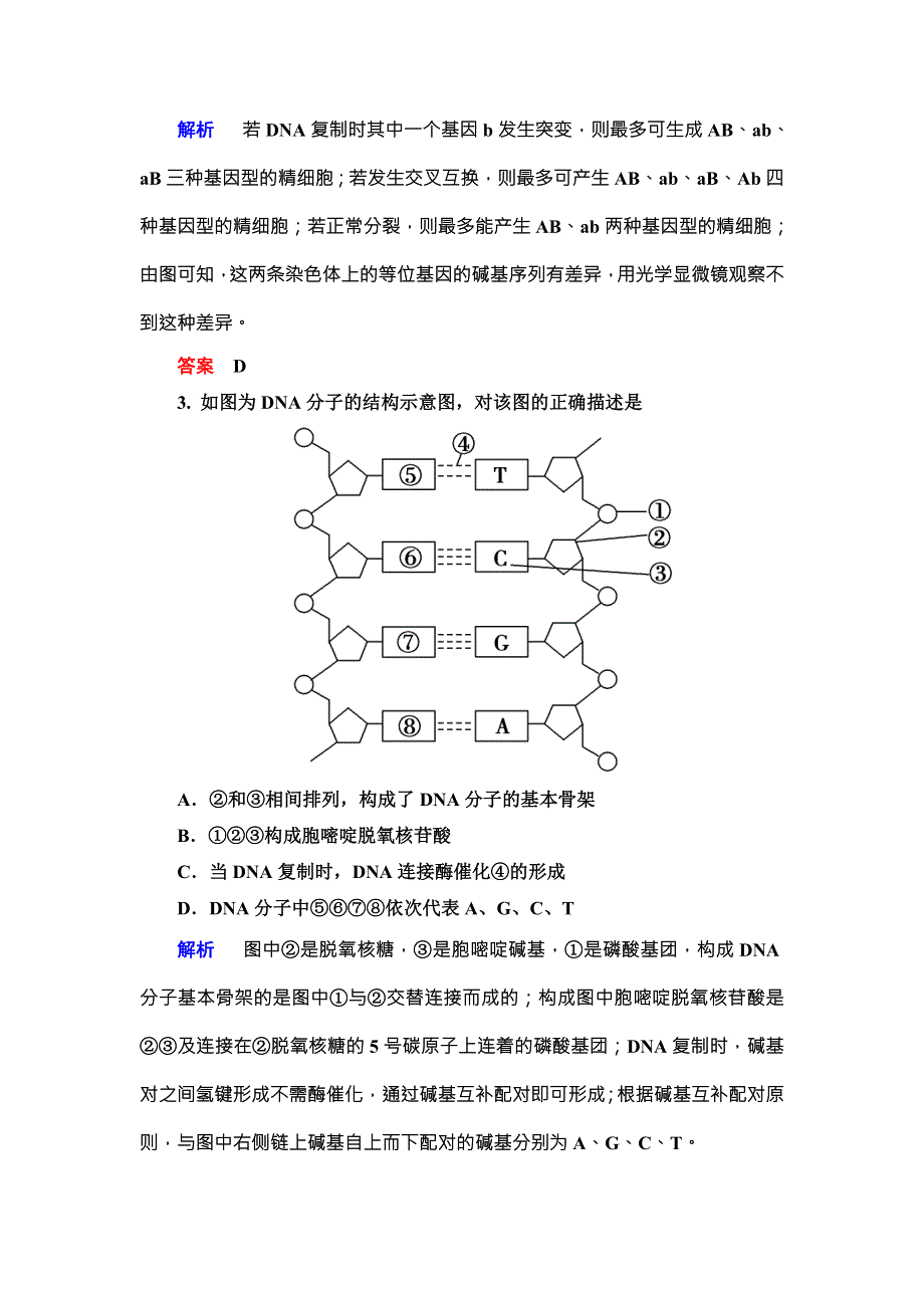 《导学教程》2016届高三生物一轮总复习限时训练：第六单元第二讲DNA分子的结构和复制、基因是有遗传效应的DNA片断 .doc_第2页