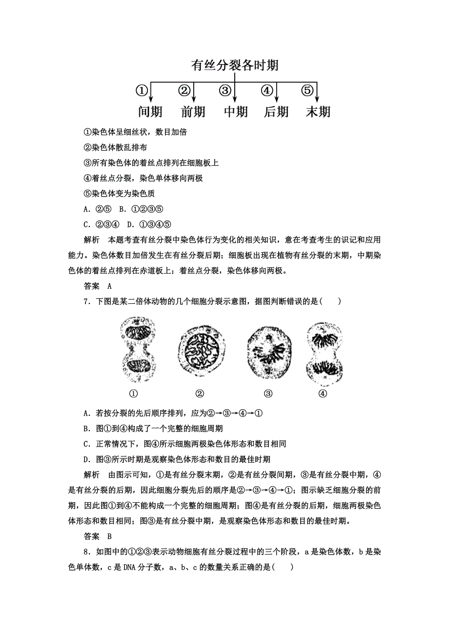 广东省惠东高级中学2018届高考生物第一轮复习检测4 WORD版含答案.doc_第3页