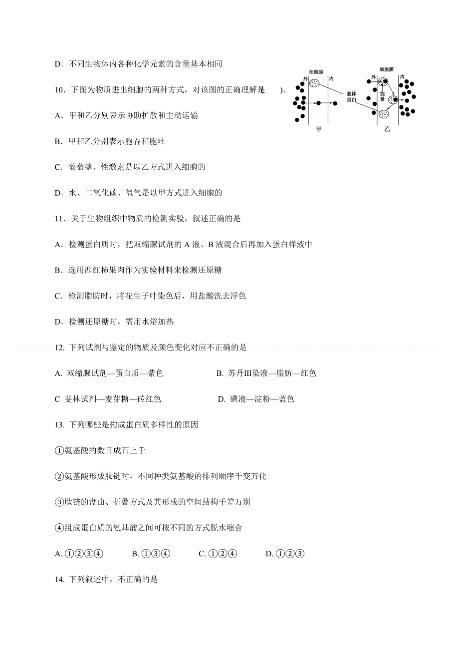 四川省眉山市东坡区多悦高级中学校2020-2021学年高一上学期期中考试生物试题 WORD版含答案.docx_第3页