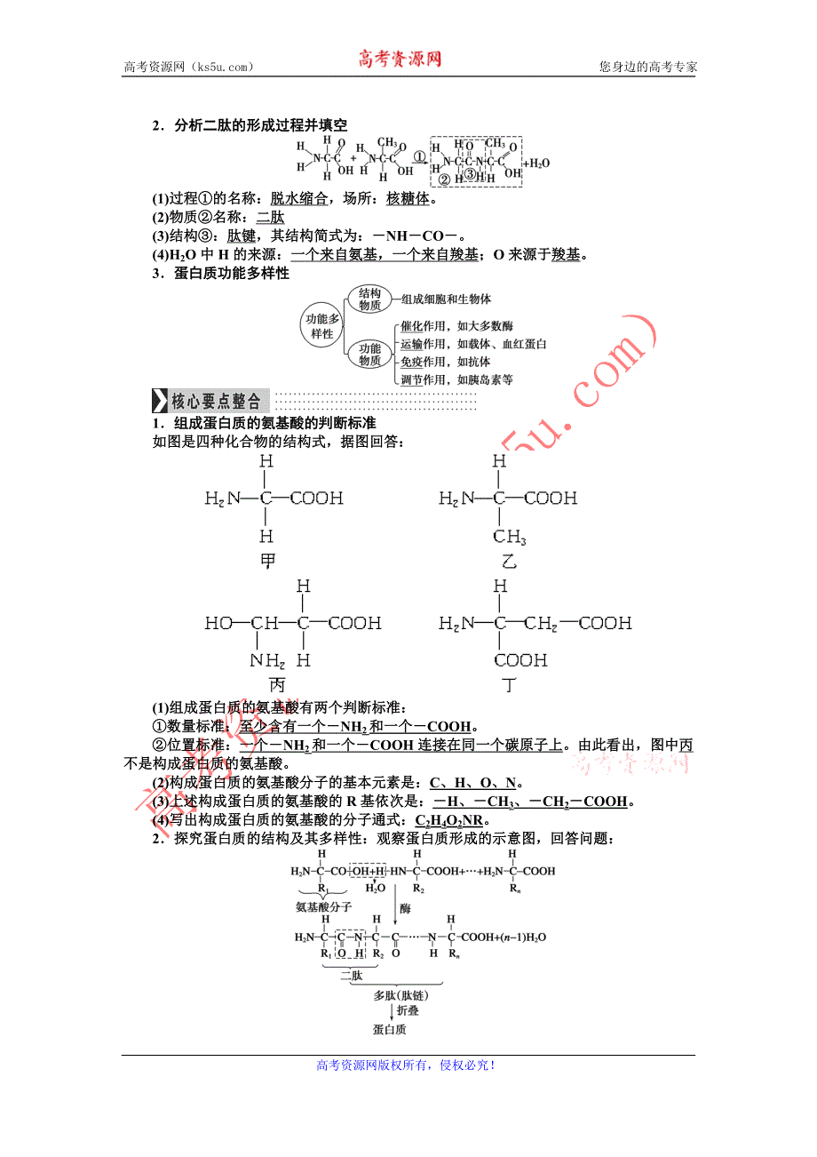 《导学教程》2017届高三生物一轮总复习讲义：第一单元第3讲　生命活动的主要承担者——蛋白质 WORD版含解析.doc_第2页