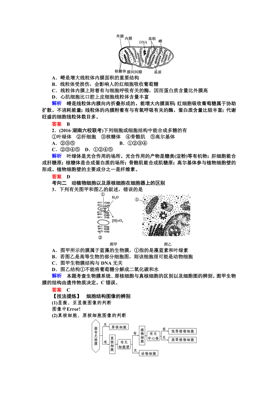 《导学教程》2017届高三生物一轮总复习讲义：第二单元第2讲　细胞器——系统内的分工合作 WORD版含解析.doc_第3页