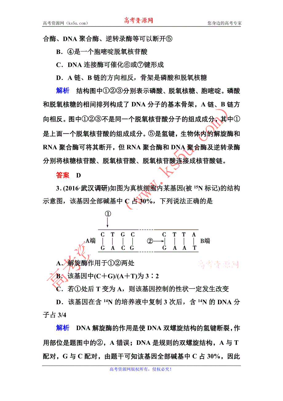 《导学教程》2017届高三生物一轮总复习限时检测：第6单元第2讲 DNA分子的结构和复制、基因是有遗传效应的DNA片断 WORD版含解析.doc_第2页