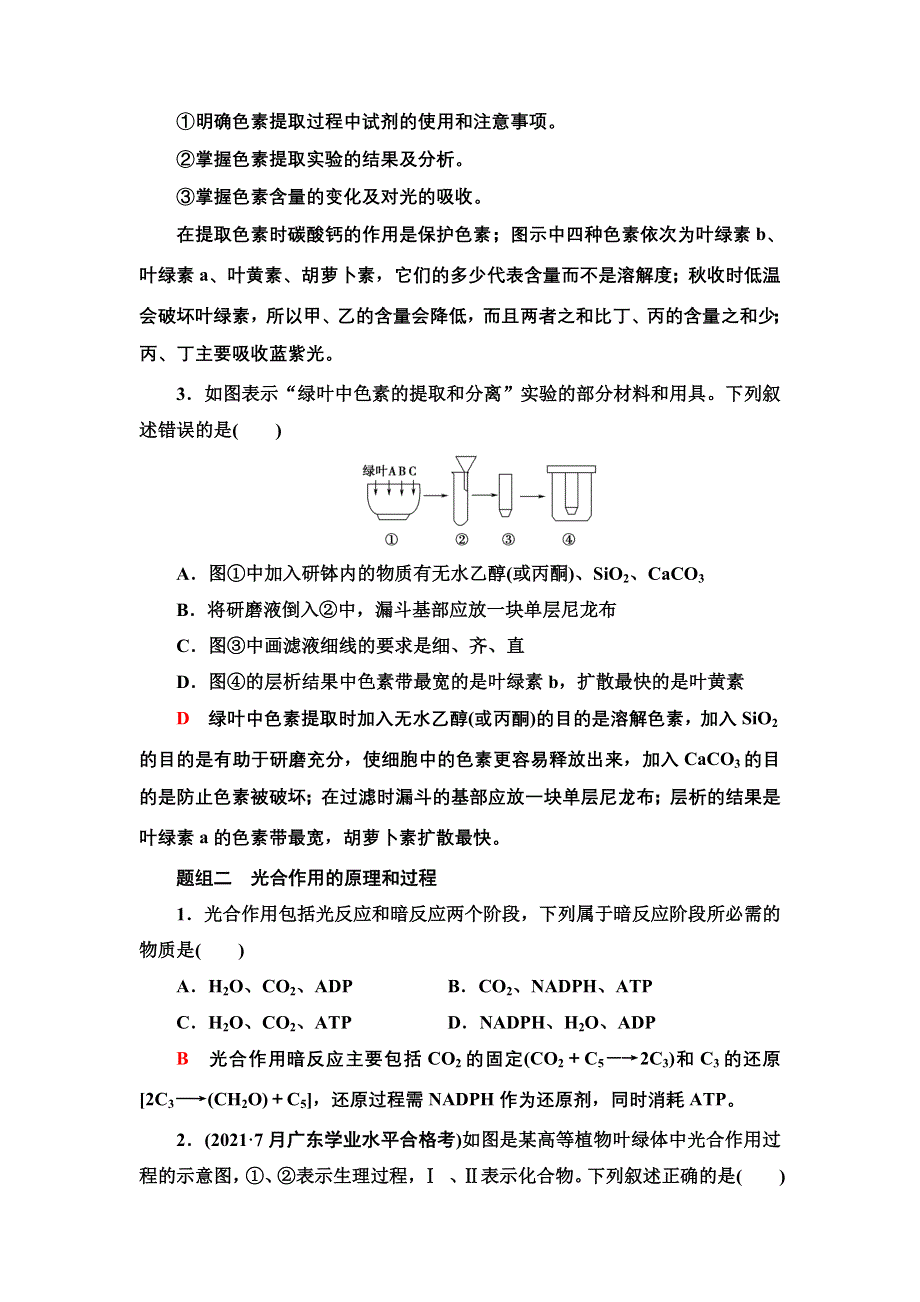 2022届高考生物一轮复习考点练6　光合作用 WORD版含解析.doc_第2页