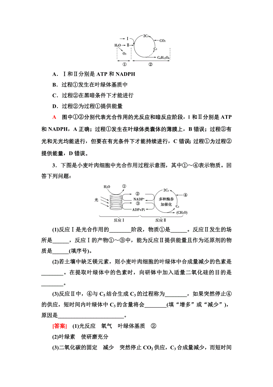 2022届高考生物一轮复习考点练6　光合作用 WORD版含解析.doc_第3页