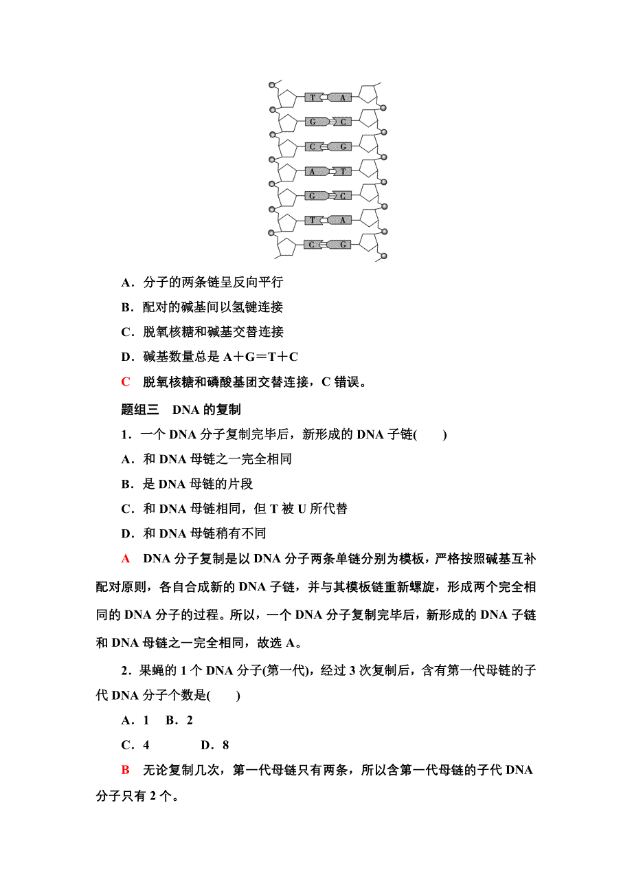 2022届高考生物一轮复习考点练10　遗传的分子基础 WORD版含解析.doc_第3页