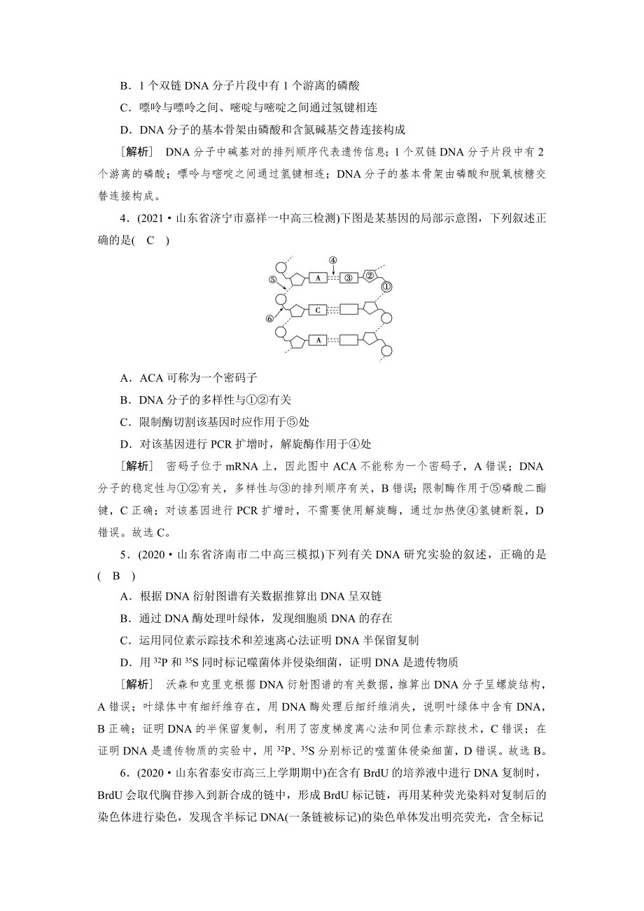 2022届高考生物（人教版）一轮总复习练习：必修2 第2单元 第2讲 DNA分子的结构、复制及基因的本质 WORD版含答案.DOC_第2页