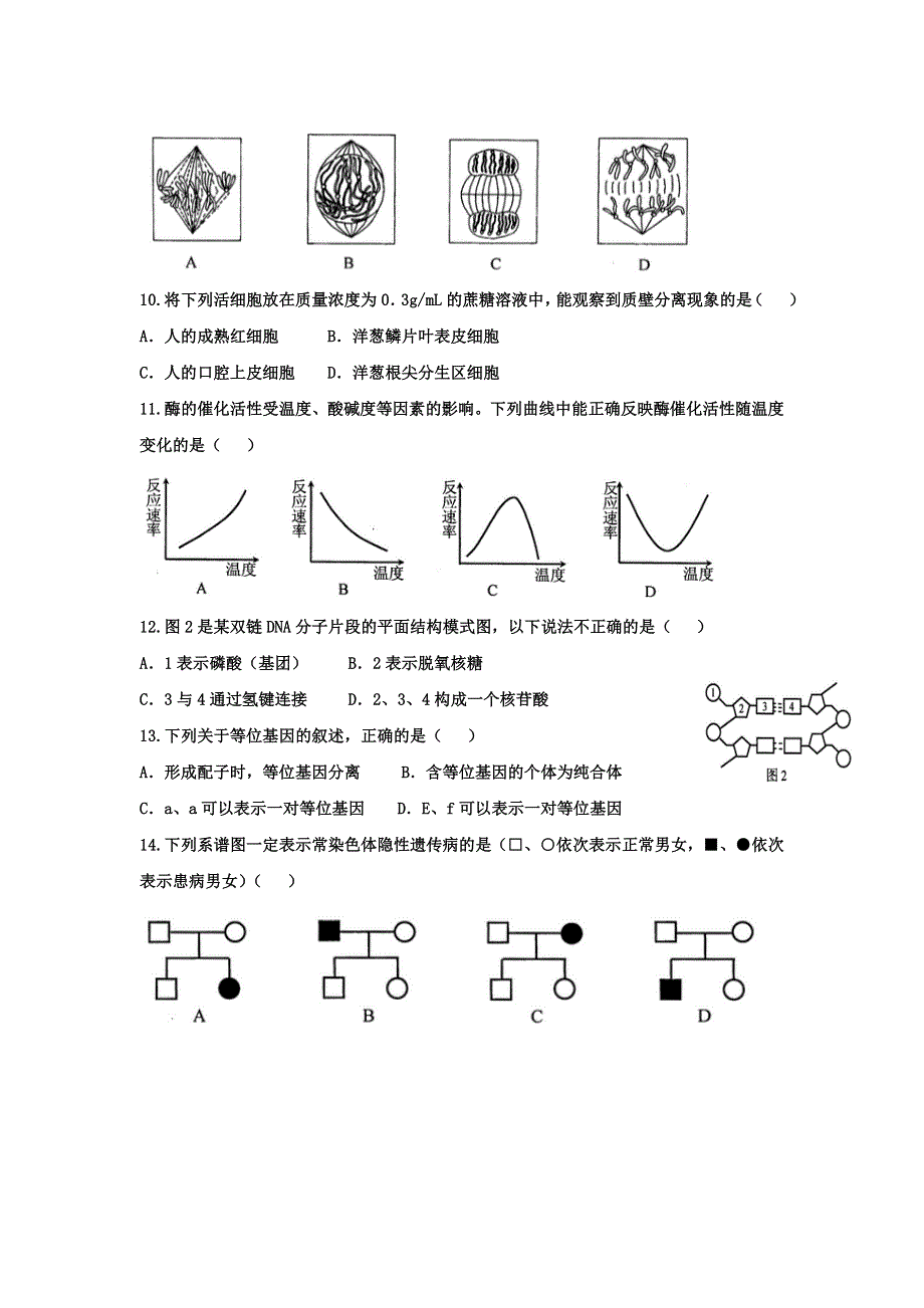 山东省济南外国语学校三箭分校2016-2017学年高二下学期期中考试生物（文）试题 WORD版缺答案.doc_第2页