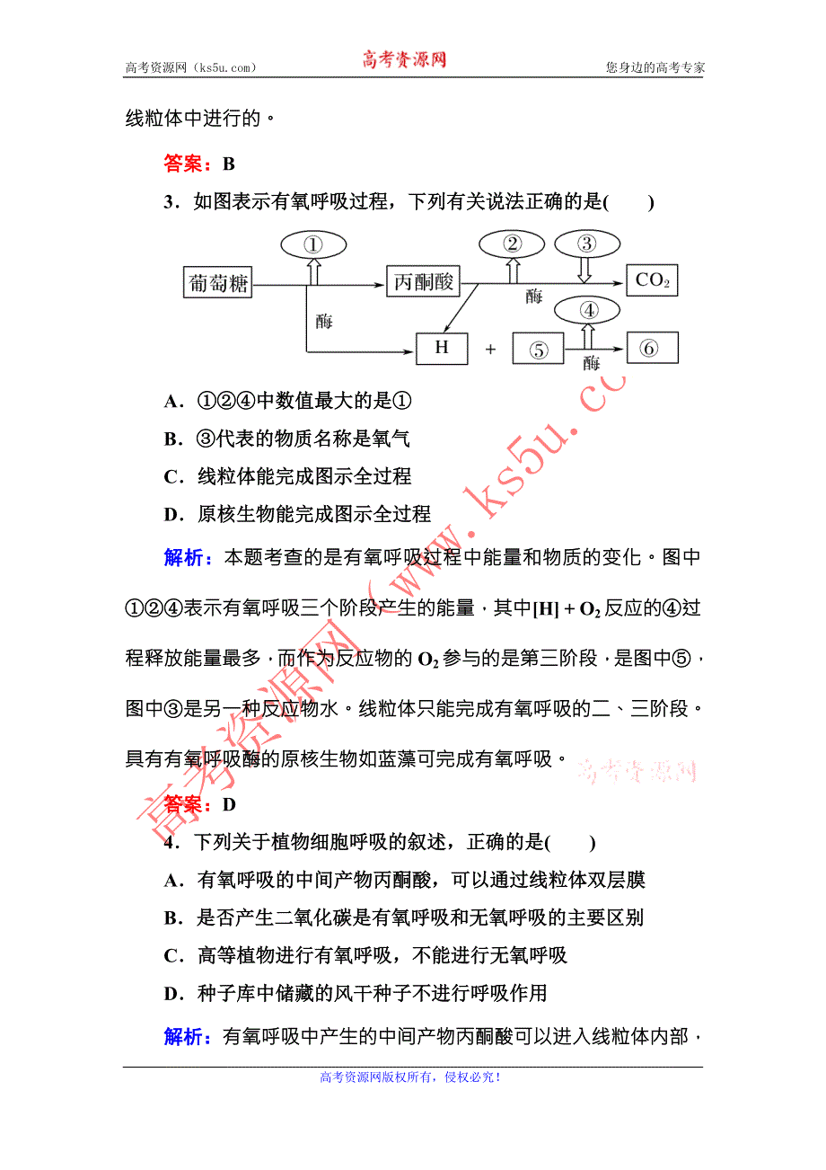 《红对勾》2015-2016学年高一人教版生物必修一随堂检测：5-3ATP的主要来源——细胞呼吸 WORD版含答案.DOC_第2页