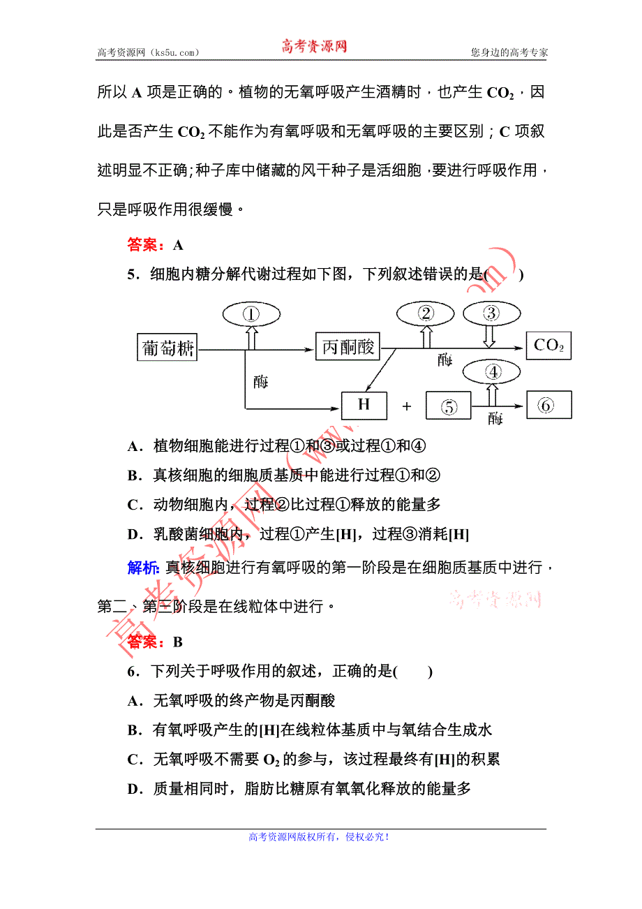 《红对勾》2015-2016学年高一人教版生物必修一随堂检测：5-3ATP的主要来源——细胞呼吸 WORD版含答案.DOC_第3页