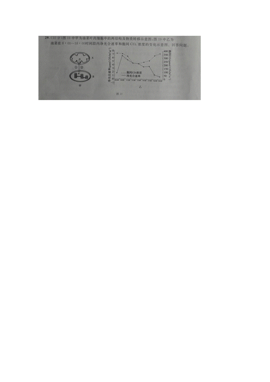 广西省贺州市2015届高三第三次调研考试理综生物试题 扫描版含答案.doc_第2页