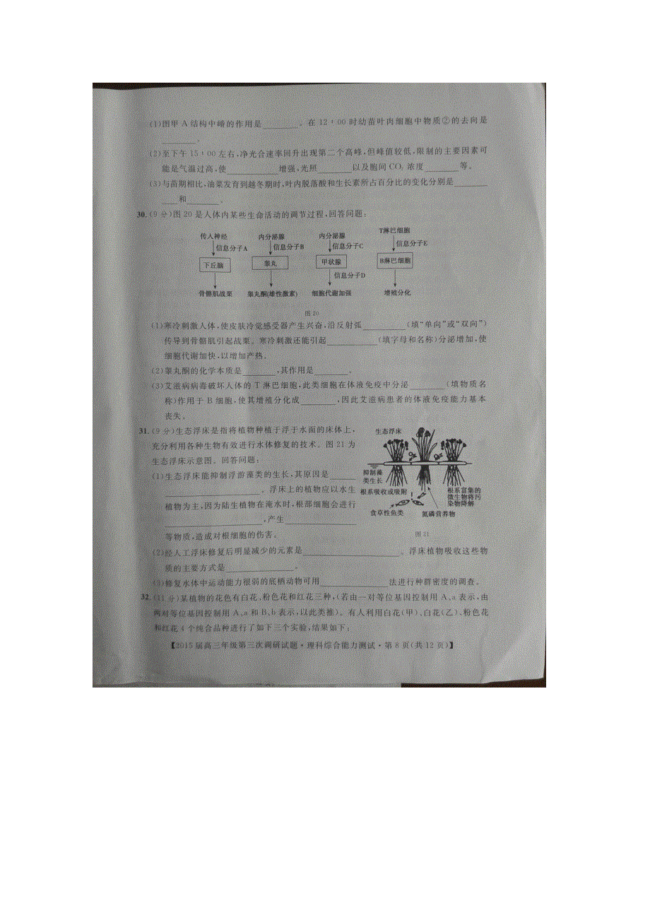 广西省贺州市2015届高三第三次调研考试理综生物试题 扫描版含答案.doc_第3页