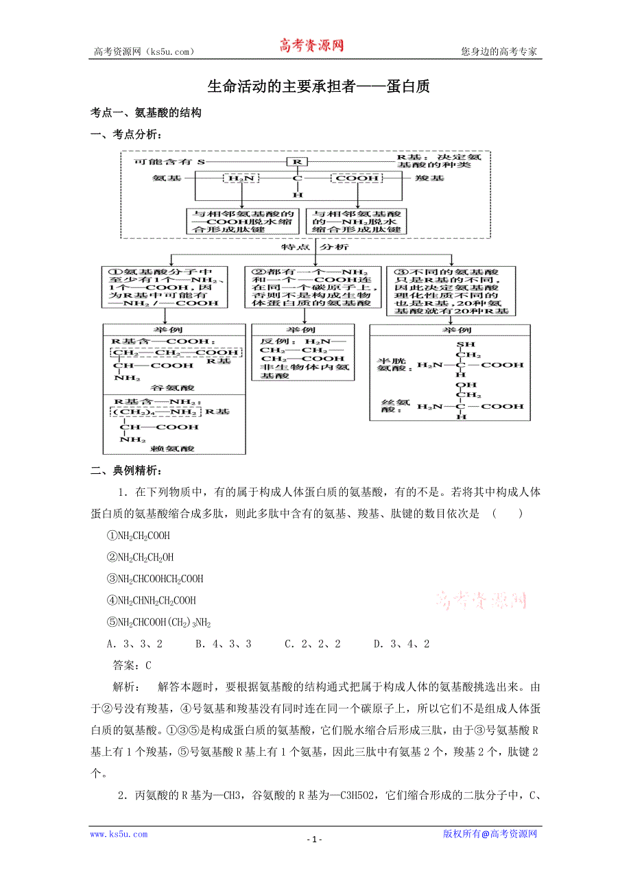 《原创》2013年高考生物考点精讲精析--蛋白质.doc_第1页