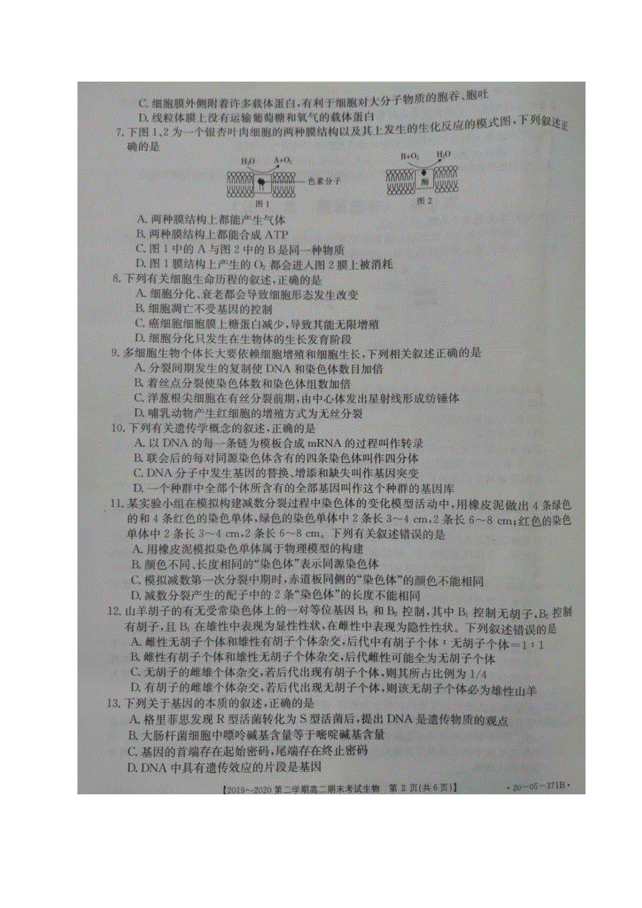 安徽省皖西南名校2019-2020学年高二下学期期末联考生物试题 图片版含答案.pdf_第2页