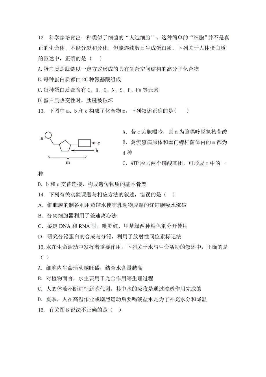 广西蒙山县第一中学2017-2018学年高一上学期第三次月考生物试题 WORD版缺答案.doc_第3页