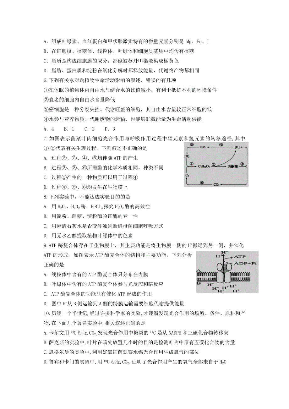 广西省桂林市龙胜中学2020届高三上学期期中考试生物试卷 WORD版含答案.doc_第2页