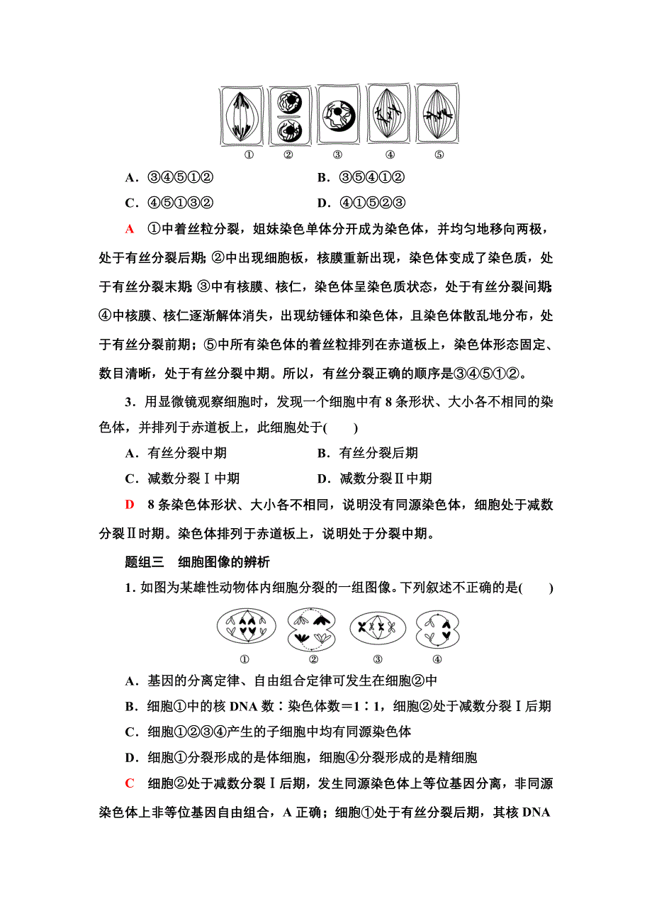 2022届高考生物一轮复习考点练9　遗传的细胞学基础 WORD版含解析.doc_第3页