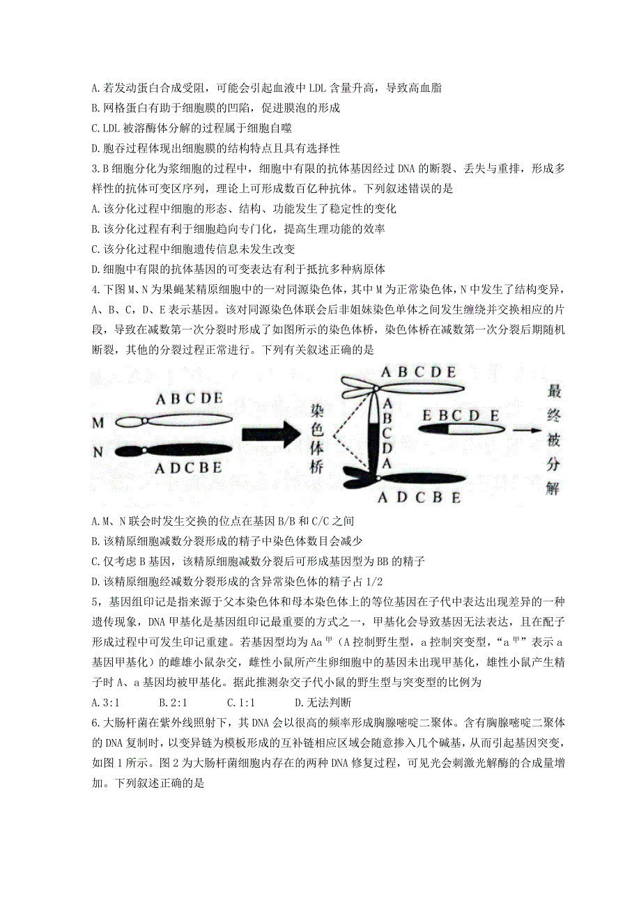 山东省济南市2022届高三下学期3月一模考试生物试题 WORD版含答案.doc_第2页