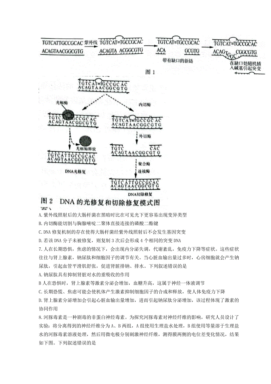 山东省济南市2022届高三下学期3月一模考试生物试题 WORD版含答案.doc_第3页