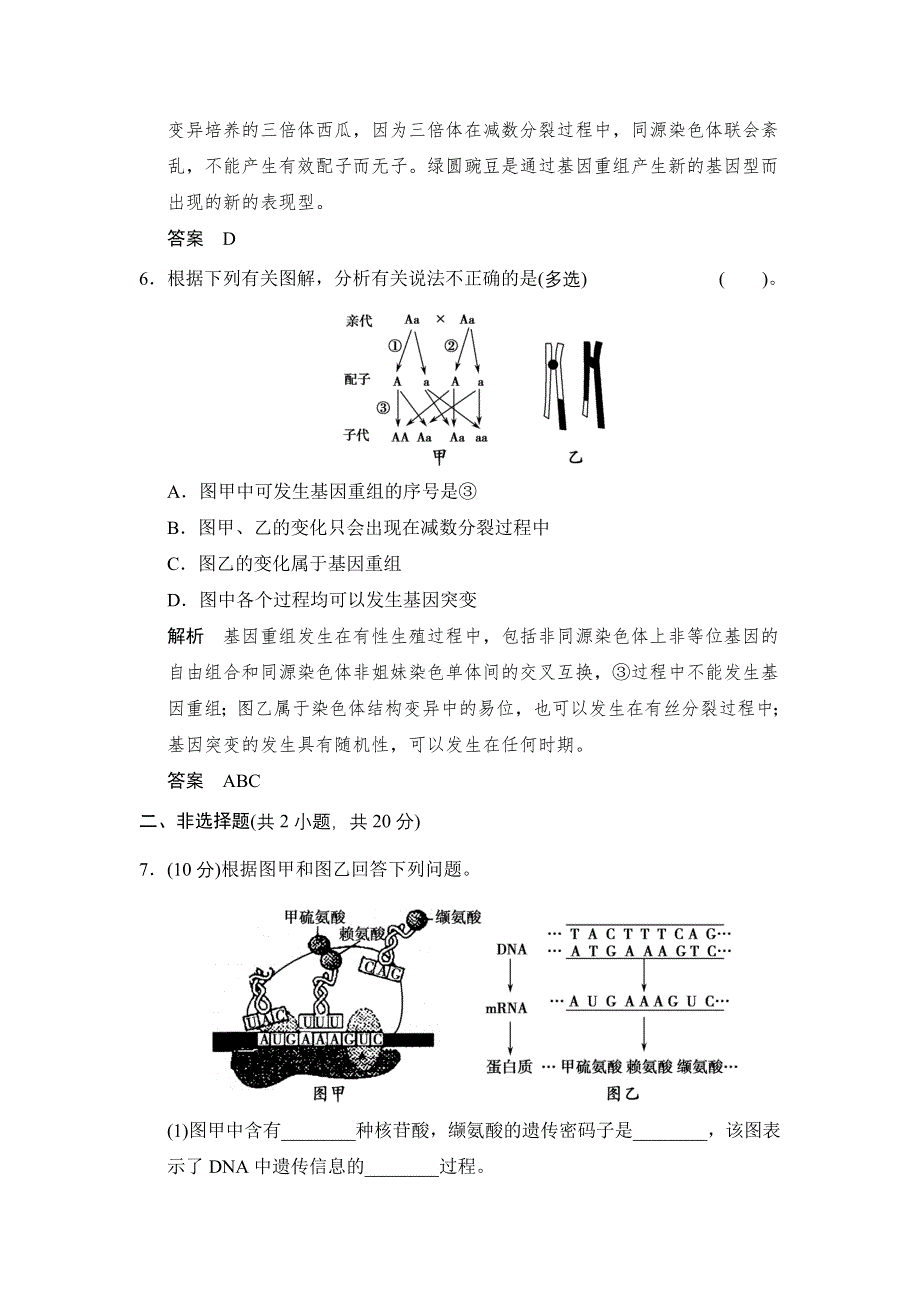 2014-2015学年高一生物苏教版必修2活页规范训练：4-4 基因突变和基因重组 WORD版含解析.doc_第3页