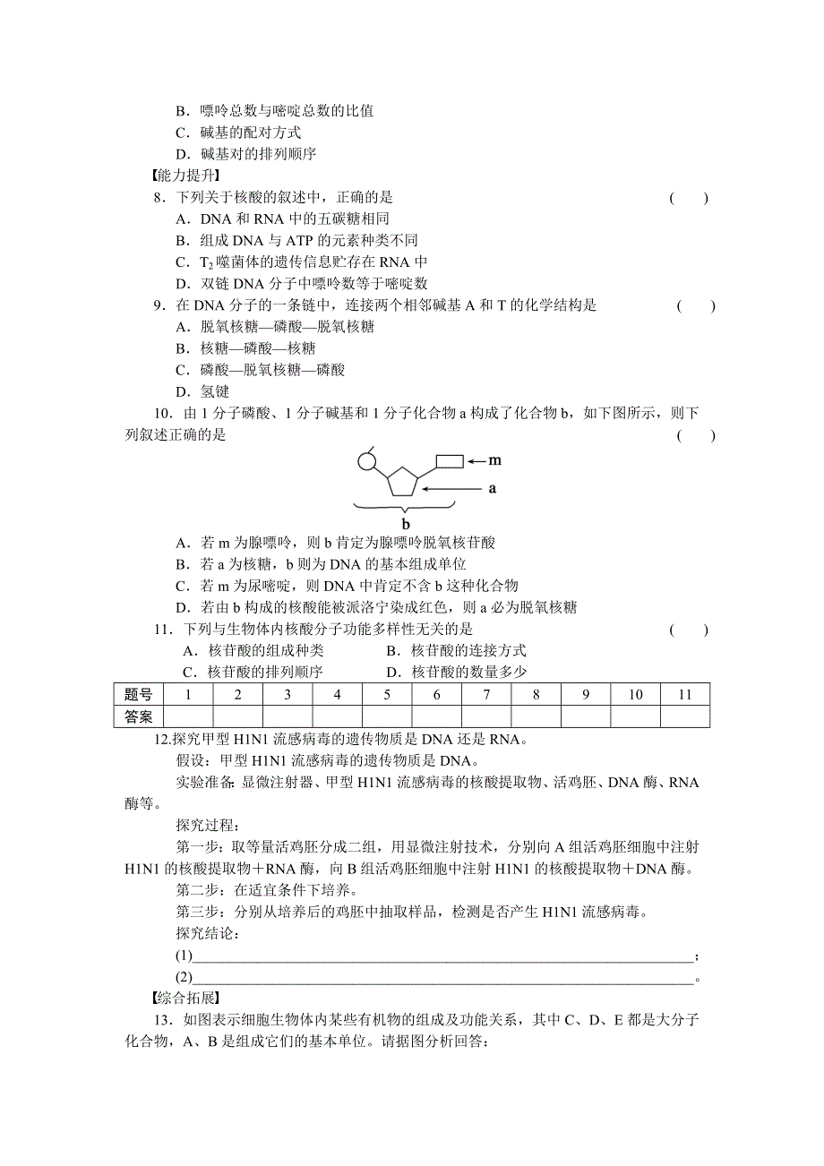 2014-2015学年高一生物苏教版必修1课时作业：第二章 第7课时 核酸的结构和功能 WORD版含解析.doc_第3页