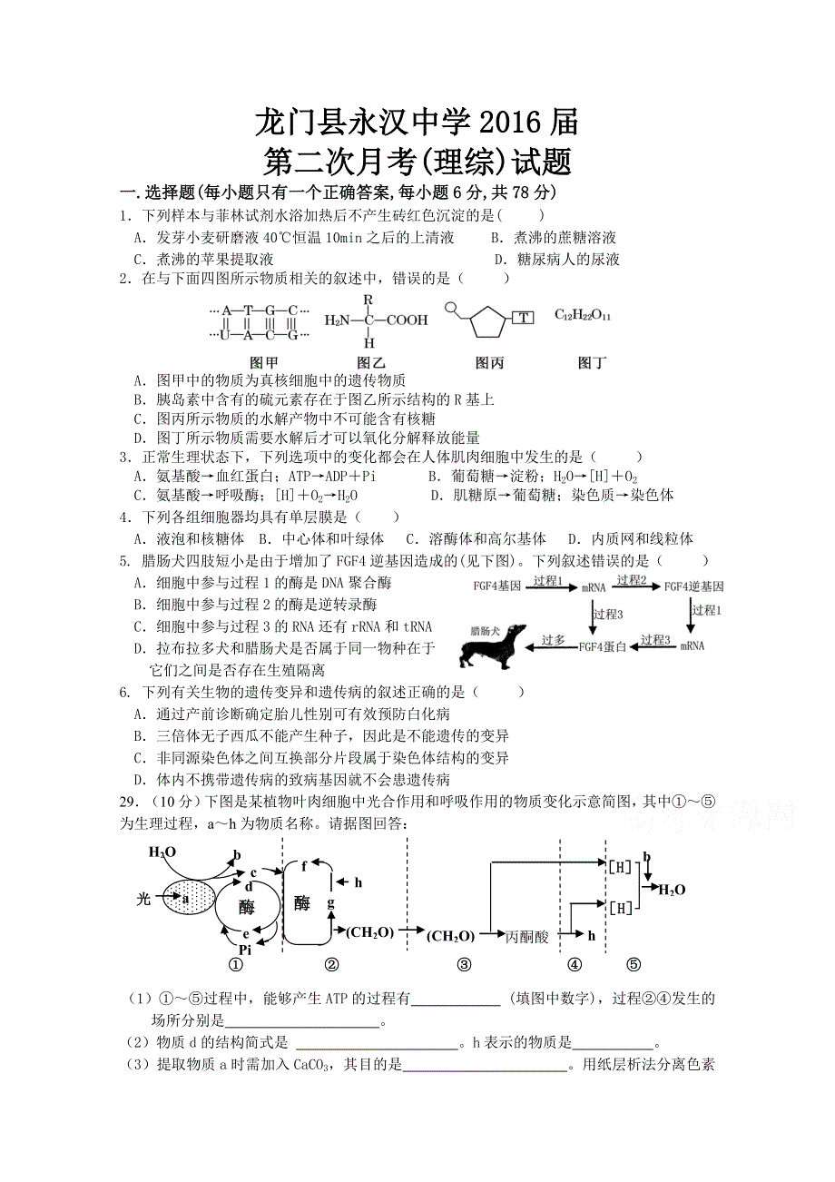 广东省惠州龙门县永汉中学2016届第二次月考（理综生物）试题 WORD版无答案.doc_第1页