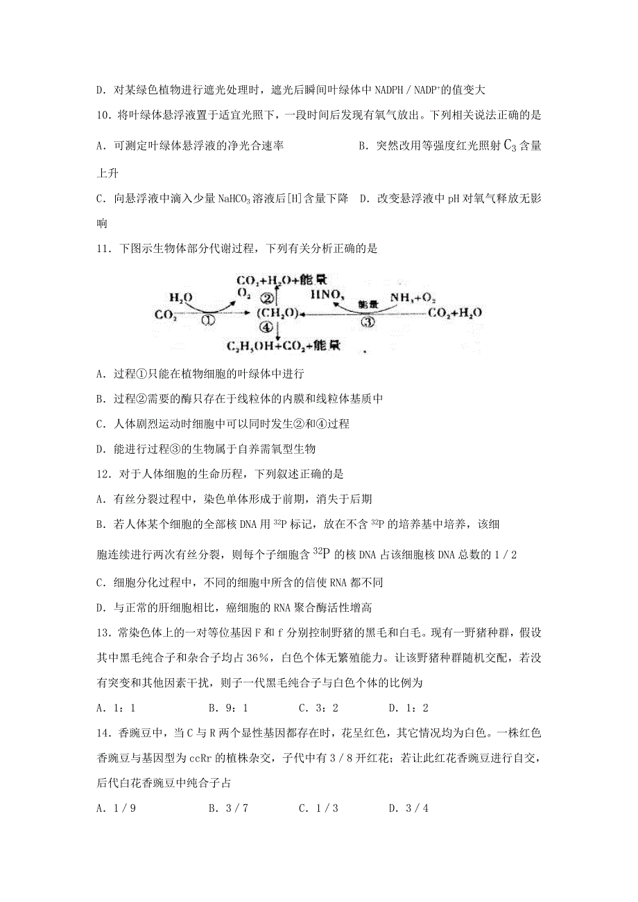 山东省济南市历城一中2020届高三上学期10月阶段性检测生物试题 WORD版含答案.doc_第3页