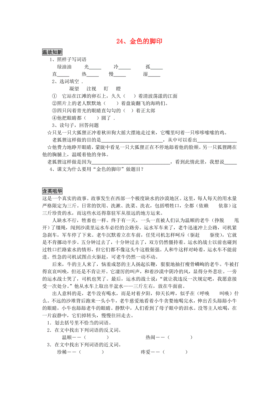 六年级语文金色的脚印同步练习题 新人教版.doc_第1页