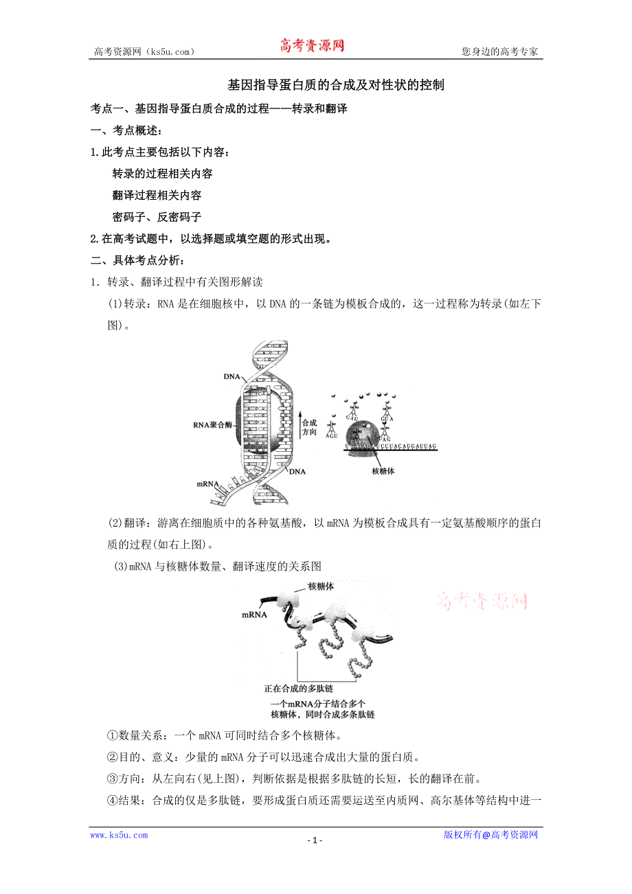 《原创》2013届高考生物考点精讲精析----基因指导蛋白质的合成及对性状的控制.doc_第1页