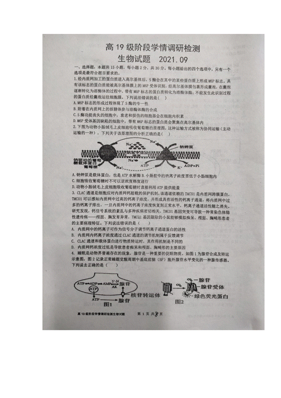 山东省临沂市临沭第一中学2022届高三上学期9月开学检测生物试题 扫描版含答案.docx_第1页