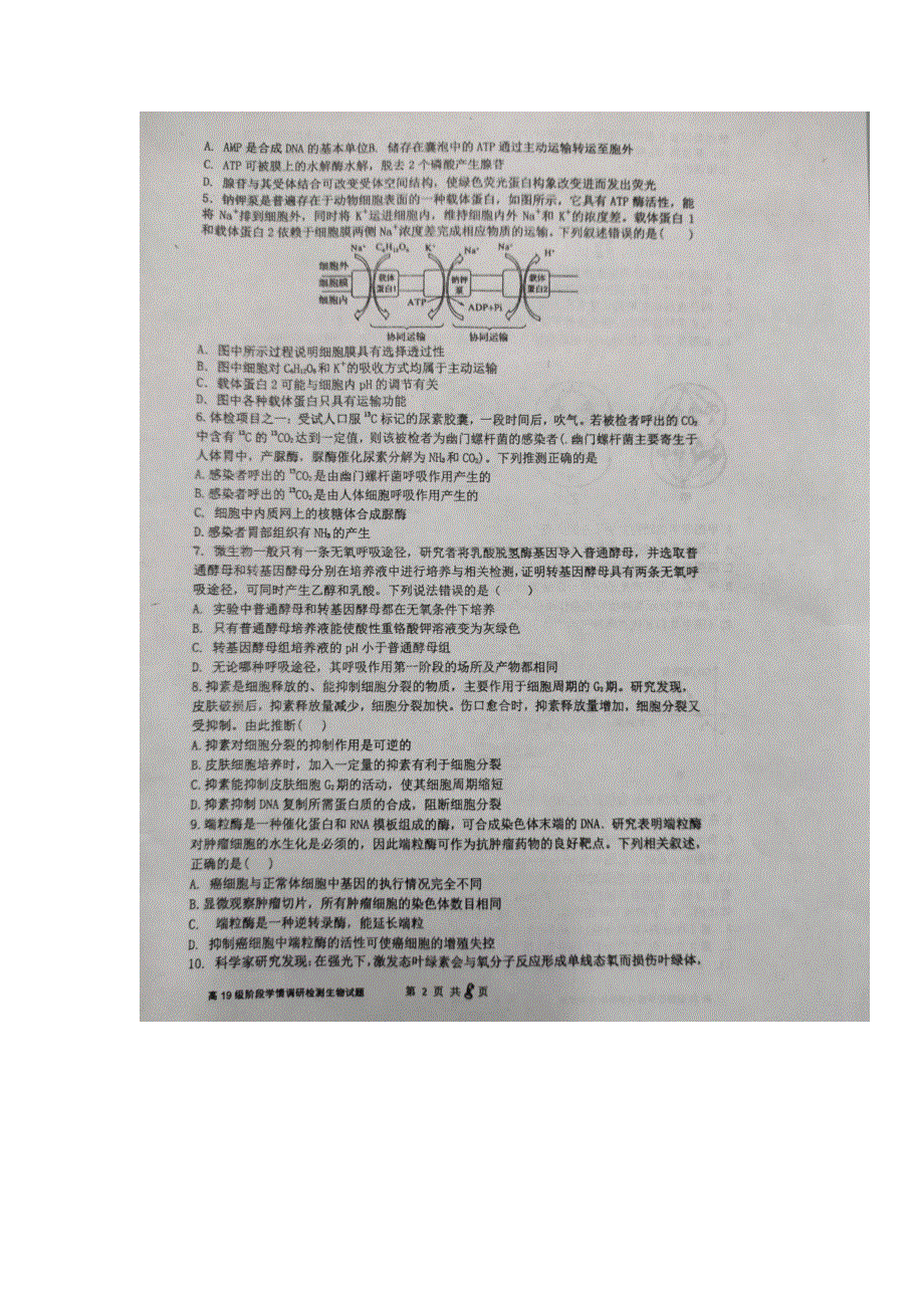 山东省临沂市临沭第一中学2022届高三上学期9月开学检测生物试题 扫描版含答案.docx_第2页