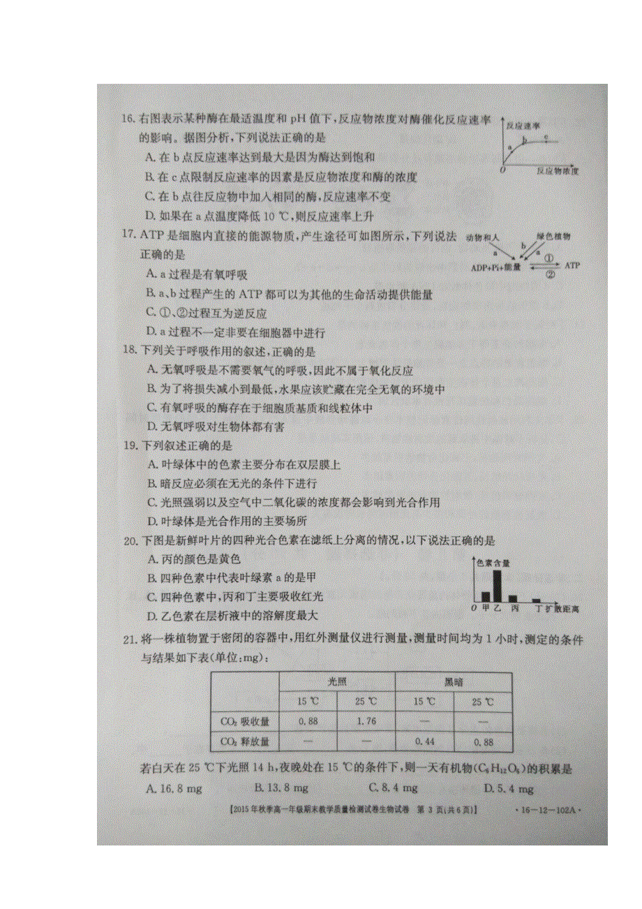 广西省河池市2015-2016学年高一上学期期末考试生物试题 扫描版含答案.doc_第3页