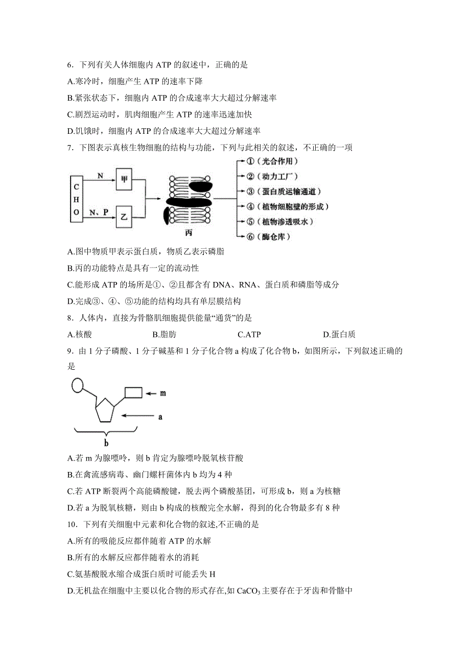 山东省临沂市兰陵四中2016-2017学年度高一生物5.docx_第2页