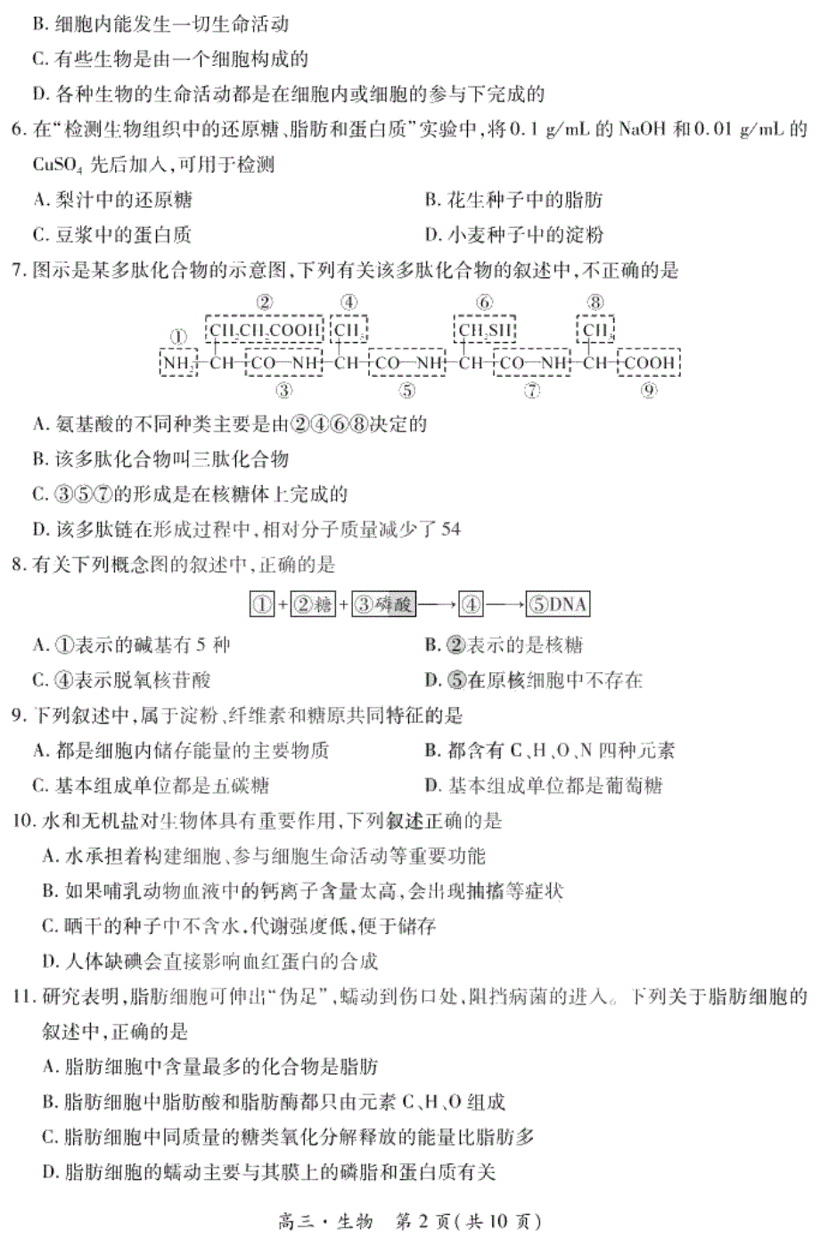 黑龙江省哈一中2021届高三上学期开学测试生物试题 PDF版含答案.pdf_第2页