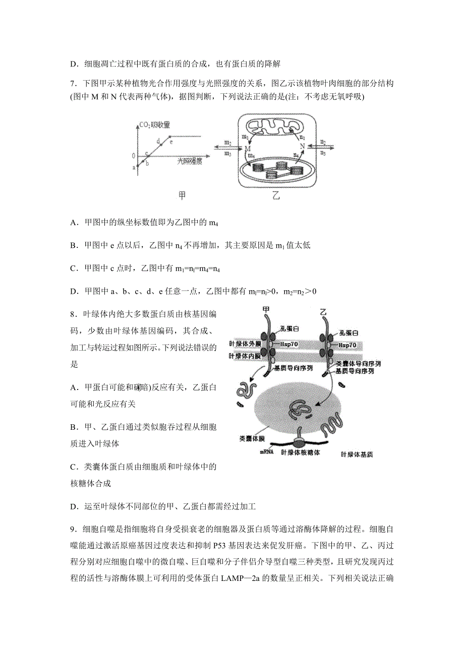 山东省枣庄三中2021届高三上学期第二次质量检测生物试题 WORD版含答案.docx_第3页